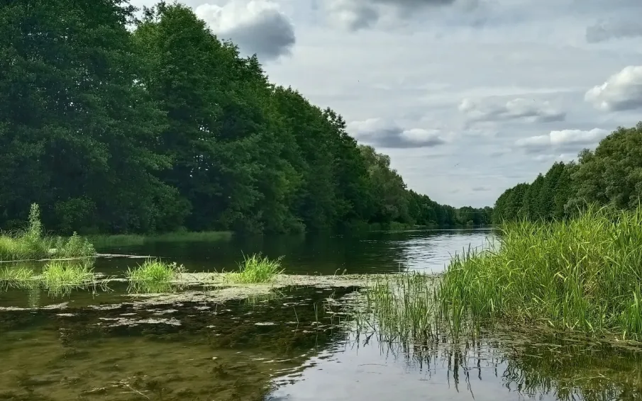 Высокая пожароопасность сохраняется!