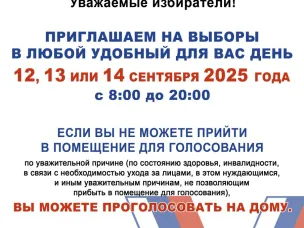 Выборы депутатов Совета депутатов городского округа г.Кулебаки третьего созыва