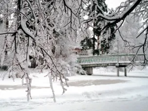 Ожидаются сильный снег, метель, гололедные явления, на дорогах снежные заносы