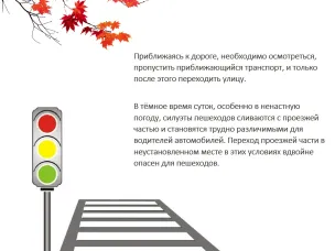 Правила безопасности на дороге осенью