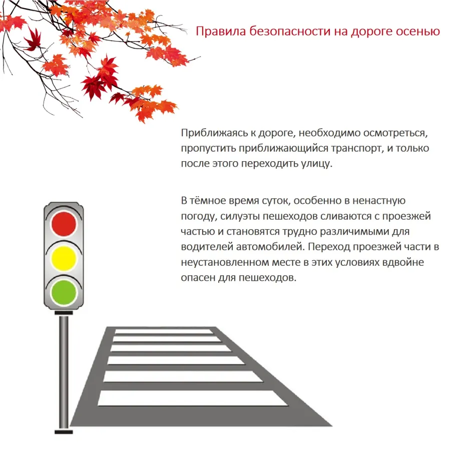 Правила безопасности на дороге осенью