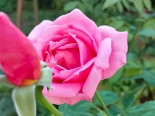 Уважаемые работники торговли и ветераны отрасли! Примите искренние поздравления с вашим профессиональным праздником!