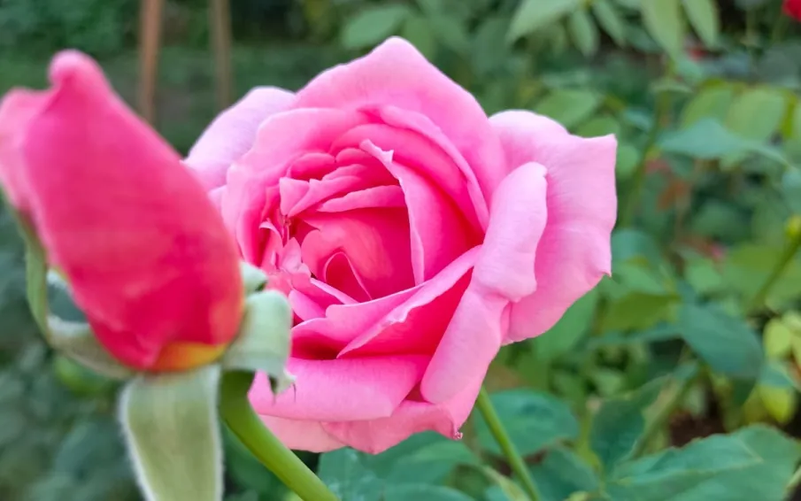 Уважаемые работники торговли и ветераны отрасли! Примите искренние поздравления с вашим профессиональным праздником!