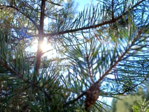 Ожидается  аномально жаркая погода!