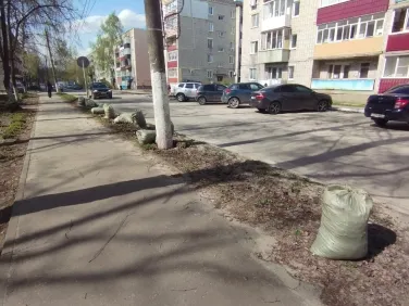 С 5 апреля по 15 мая на территории городского округа город Кулебаки проходит традиционный месячник по санитарной очистке и благоустройству территории