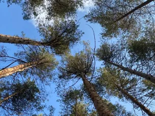 26 января - Всемирный день экологического образования