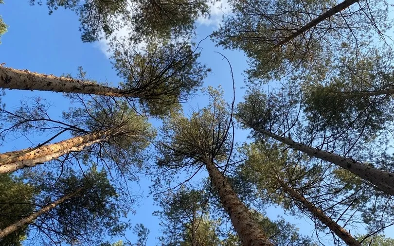 26 января - Всемирный день экологического образования