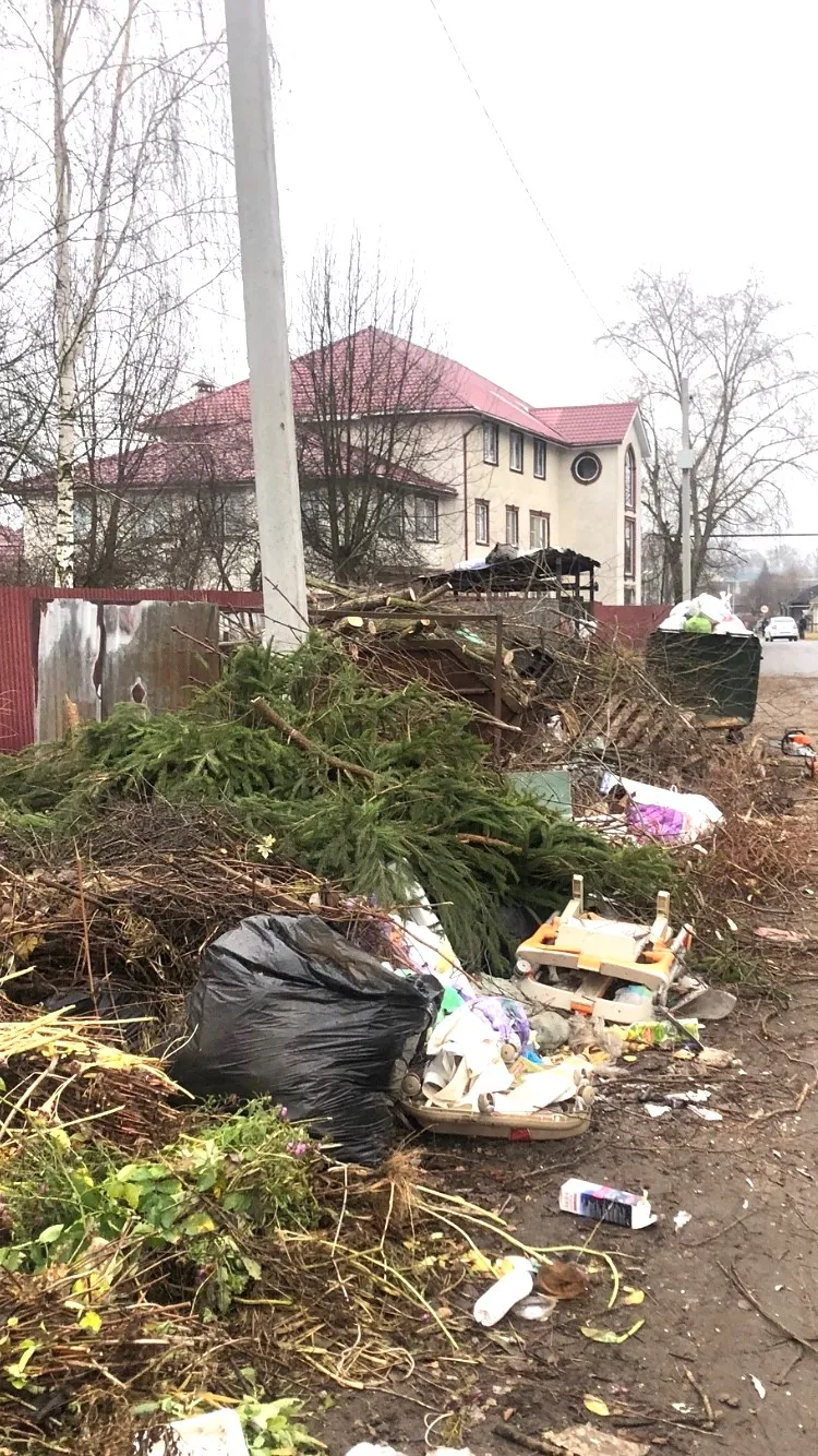 Проблема захламления контейнерных площадок мусором остается актуальной