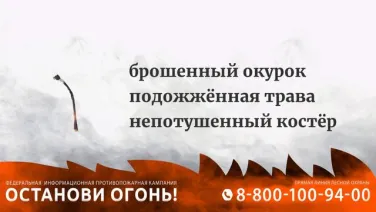 Причина природных пожаров-брошенный окурок