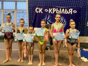 Кулебакские гимнастки успешно выступили на соревнованиях