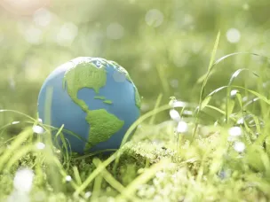 Администрация г.о.г. Кулебаки информирует об отборе проектов по сохранению и защите окружающей среды