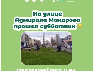 На улице Адмирала Макарова в Кулебаках прошел субботник