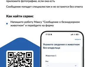 На портале «Госуслуги» можно уведомить о безнадзорном животном