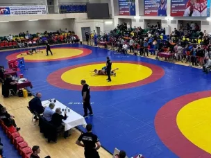 Кулебакские борцы стали призерами первенства ЦФО по греко-римской борьбе