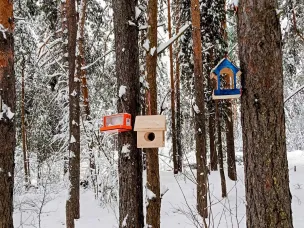 26 января - Всемирный день экологического образования