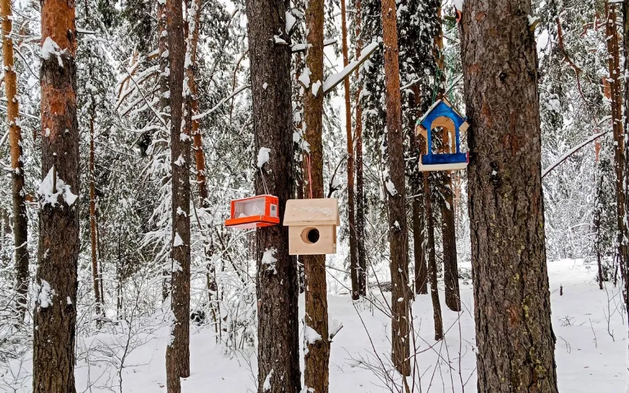 26 января - Всемирный день экологического образования