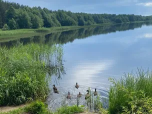 О безопасности на воде летом