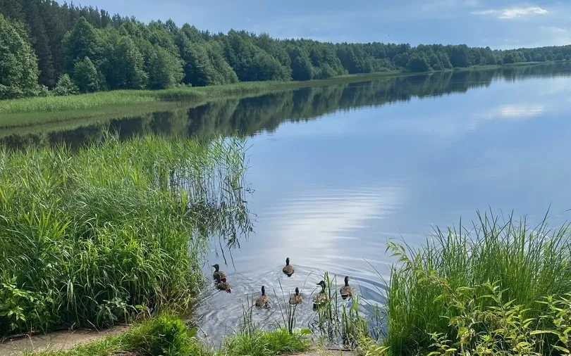 О безопасности на воде летом