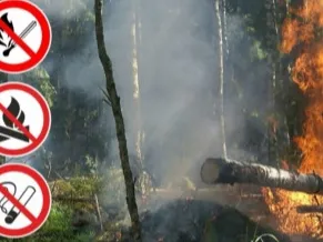 Ожидается высокая (4 класс) пожароопасность лесов и торфяников!