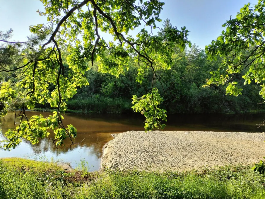 Сохранится высокая (4 класс) пожароопасность  лесов и торфяников