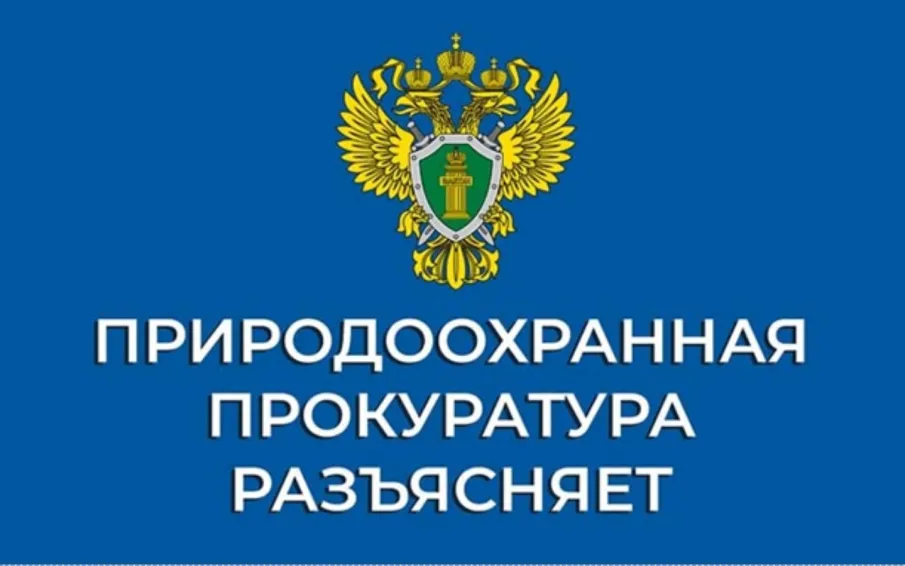 Нижегородская межрайонная природоохранная прокуратура разъясняет порядок уплаты экологического сбора