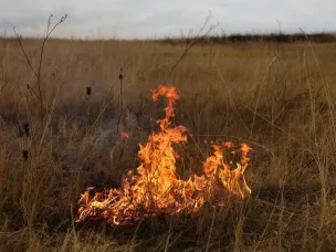 Пожароопасный период! Осторожно: сухая трава!