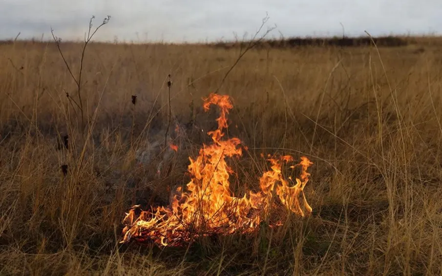 Пожароопасный период! Осторожно: сухая трава!