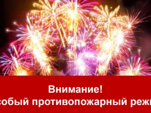 С 25 декабря 2024 года по 8 января 2025 года в Нижегородской области вводится особый противопожарный режим