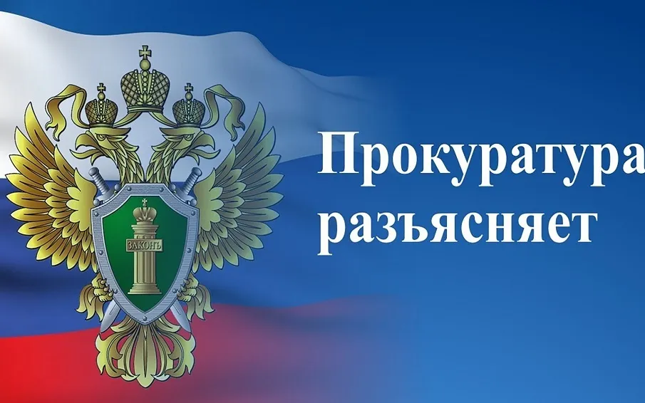 С 5 февраля 2025 года ряд конфискованных товаров будет передаваться субъекту Российской Федерации
