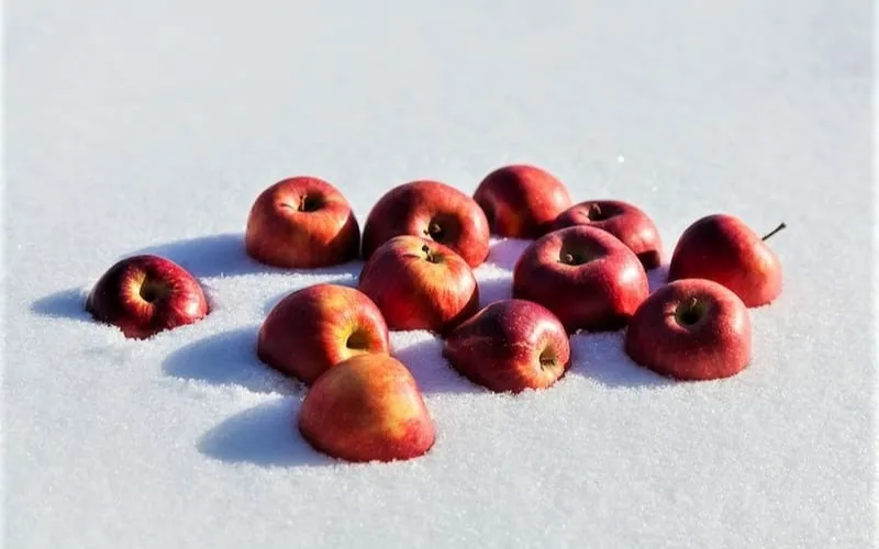 Сезонные продукты января