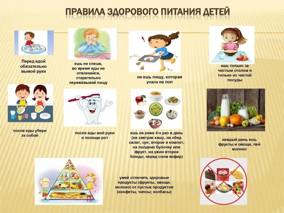 Правила здорового питания детей