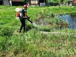 В период с 28-29 мая будет проведена дополнительная дезинсекционная обработка