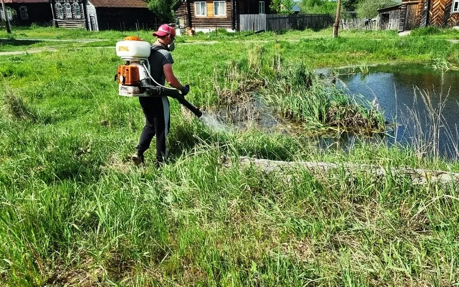 В период с 28-29 мая будет проведена дополнительная дезинсекционная обработка