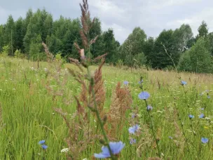 С 19 по 22 августа местами в регионе сохранится высокая пожароопасность