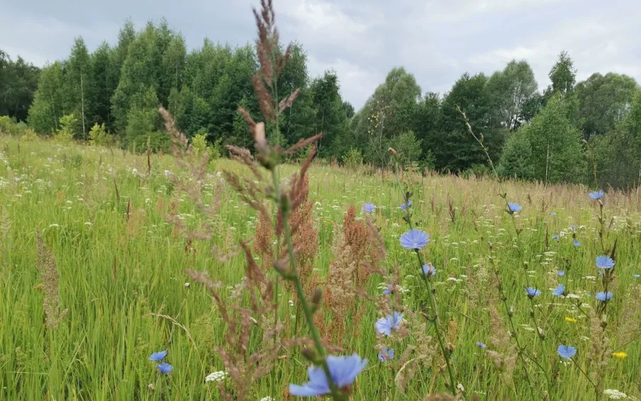 С 19 по 22 августа местами в регионе сохранится высокая пожароопасность