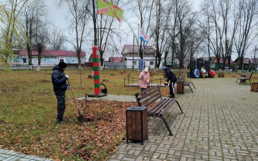 В посёлке Велетьма работниками территориального управления № 2 проведены работы по высадке кустов пузыреплодника бордового