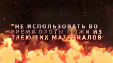 Меры безопасности и правила поведения в лесу