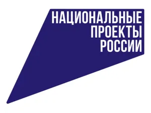 Передовая технология протезирования клапанов сердца донорским материалом станет доступнее для нижегородцев