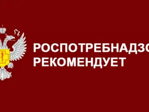 Роспотребнадзор: Какую одежду выбрать для похода за грибами