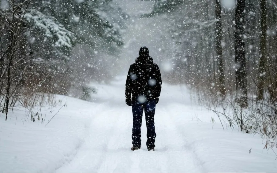 Внимание! Снегопад!