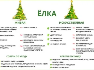 Как выбрать красивую ёлку на Новый год