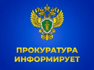Кулебакским городским судом Нижегородской области вынесен приговор по уголовному делу в отношении 43-летней местной жительницы