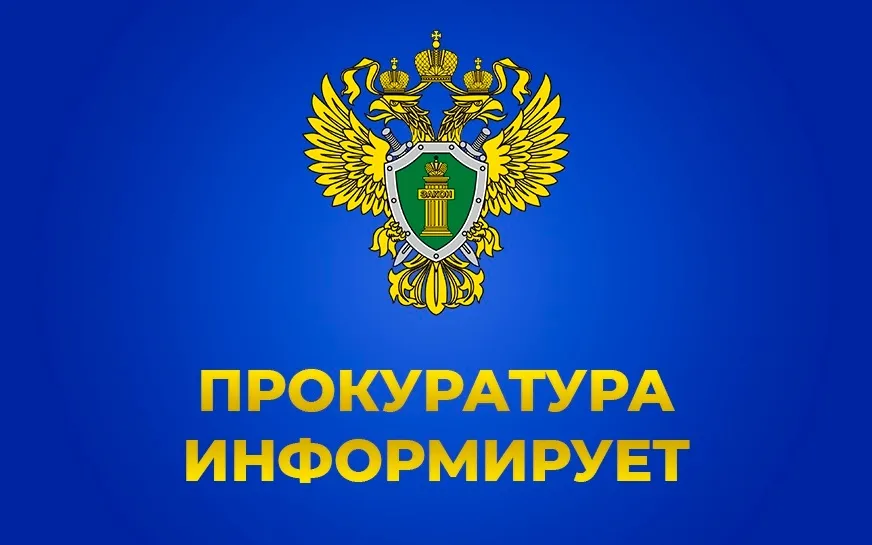Кулебакским городским судом Нижегородской области вынесен приговор по уголовному делу в отношении 43-летней местной жительницы