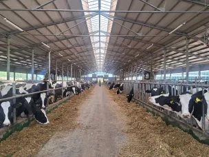 Аграрные предприятия Нижегородской области получили льготные займы на сумму свыше 660 млн рублей за семь месяцев 2024 года