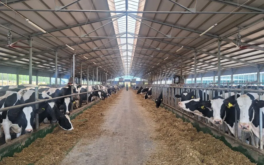 Аграрные предприятия Нижегородской области получили льготные займы на сумму свыше 660 млн рублей за семь месяцев 2024 года