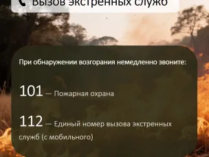 Сохраняется высокая (4 класс) пожароопасность лесов и торфяников