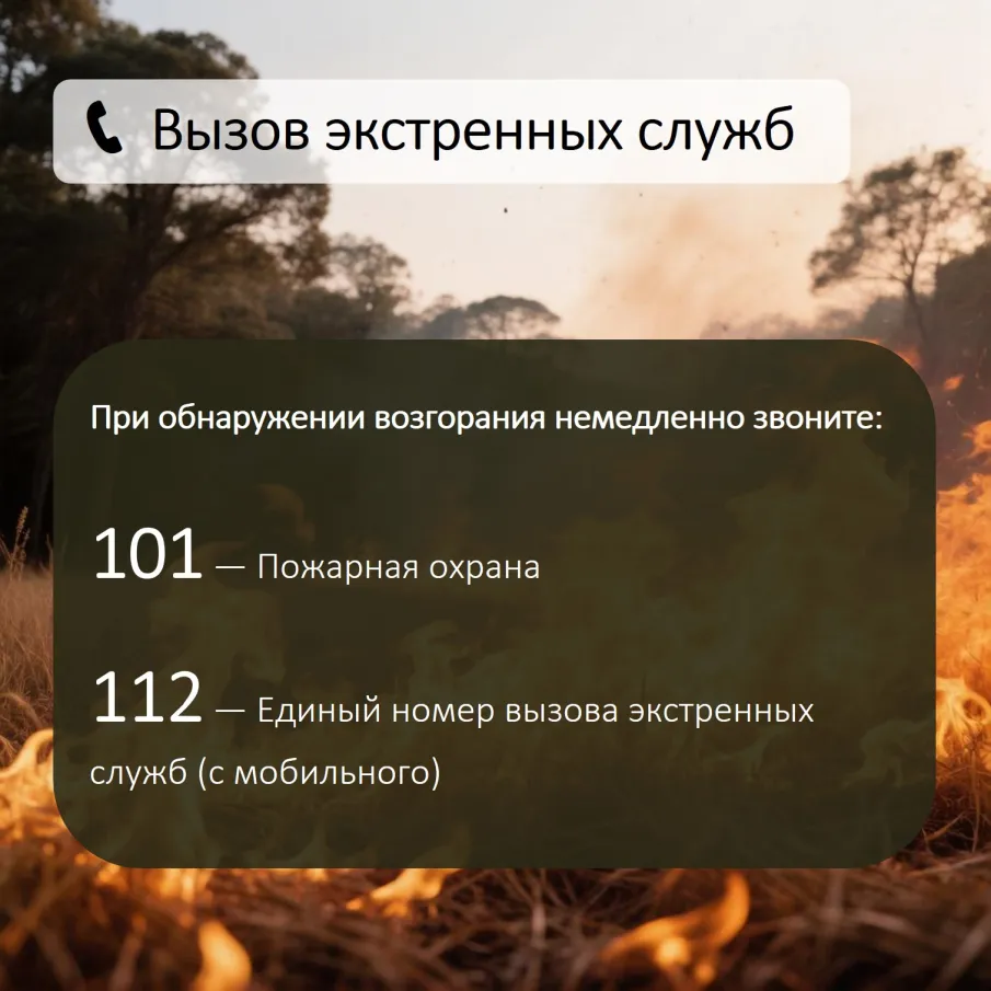 Сохраняется высокая (4 класс) пожароопасность лесов и торфяников
