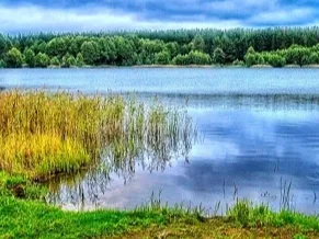 Будьте осторожны на водоемах и реках, соблюдайте элементарные правила безопасности на воде