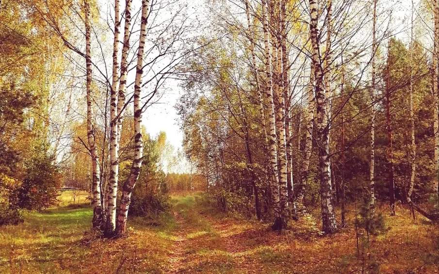 Экстренное предупреждение! Высокая пожароопасность!