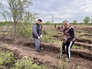 15 тысяч саженцев сосны высажено в рамках акции «Сад памяти»